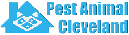 Cleveland Wildlife and Animal Removal